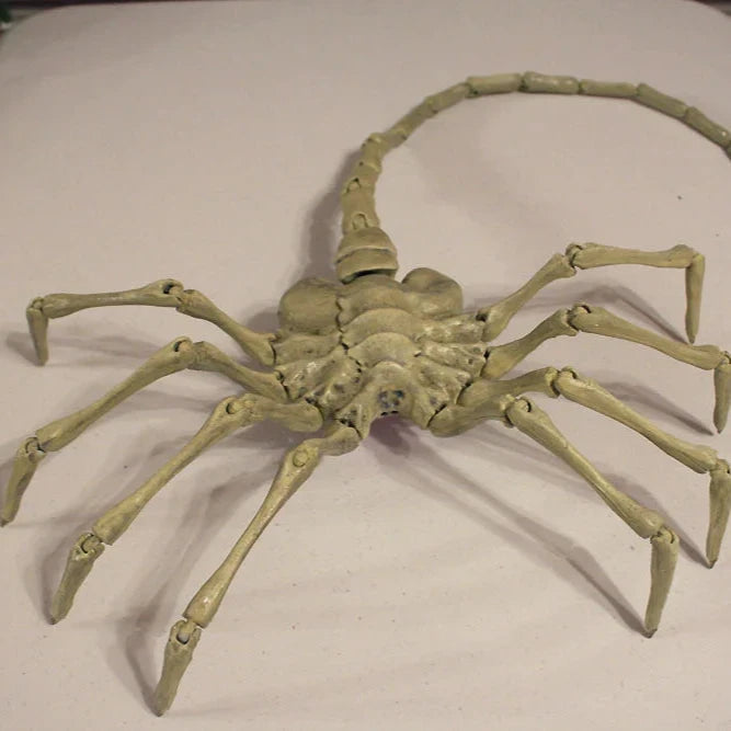 Ultimate Alien Face Hugger (40in x 23in - LIFE SIZE!)